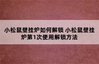 小松鼠壁挂炉如何解锁 小松鼠壁挂炉第1次使用解锁方法